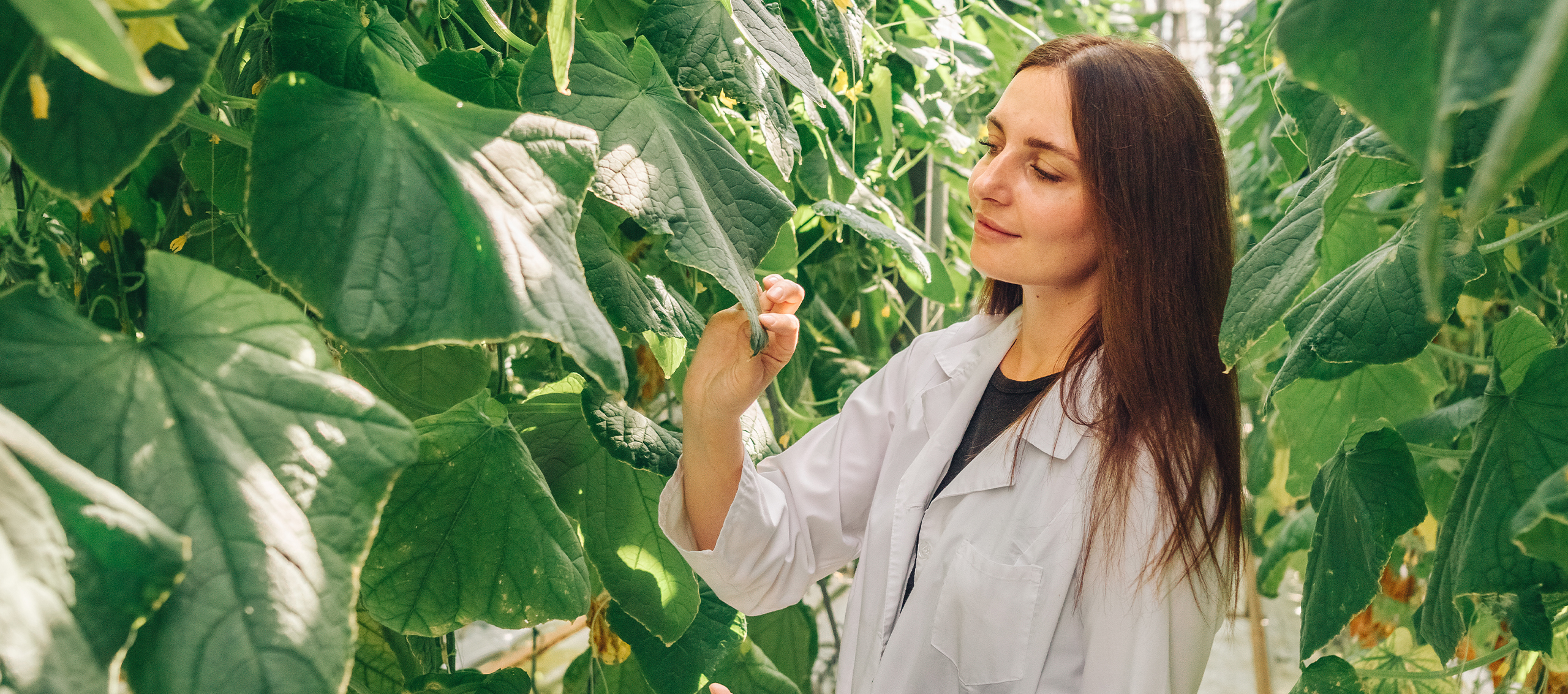 An image of a student in a among green leafy plant
